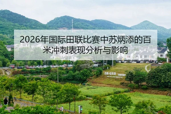 nian-guo-ji-tian-lian-bi-sai-zhong-su-bing-tian-de-bai-mi-chong-ci-biao-xian-fen-xi-yu-ying-xiang-2-900.jpg