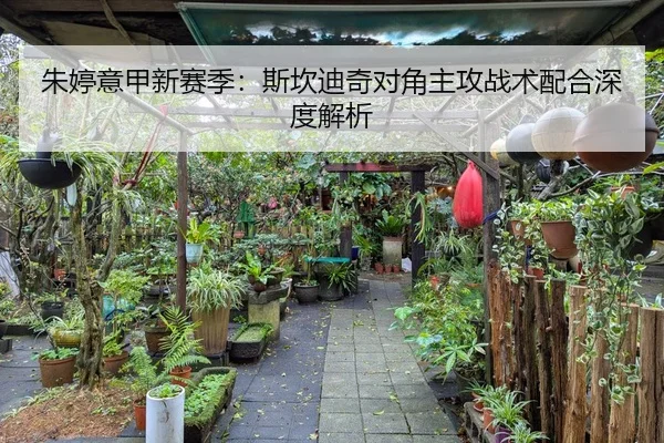 朱婷意甲新赛季：斯坎迪奇对角主攻战术配合深度解析